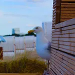Διαμέρισμα Seaside Suesel, Luebecker Bucht, Ostsee