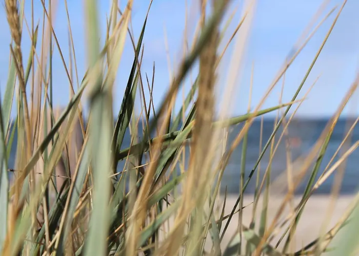 Seaside Suesel, Luebecker Bucht, Ostsee *